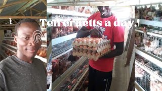 Agribusiness;How a young graduate is making millions in poultry farming