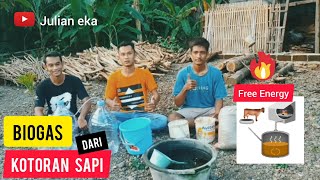 BIOGAS DARI KOTORAN SAPI • FREE ENERGI • UMPO