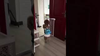 🤣FUNNY CUTE DOG VIDEO🤣 #SHORTS