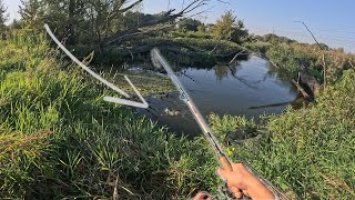 LEKKI FEEDER NA ZAROŚNIĘTEJ RZECE. MASA RYB! Płocie i Jazie na feeder [WĘDKARSTWO RZECZNE PZW]