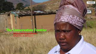 The Conservation Frontier - Bawinile Mtolo