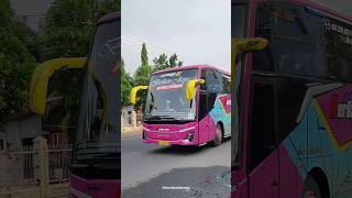 Po berlian jaya kresna kudus - jakarta hino rm 280 jetbus 5 karoseri adiputro #busmania #bus #Shorts