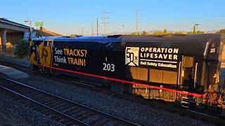 Amtrak Coast Starlight train 11 with the Operation Lifesaver 203 leading! 10/1/24