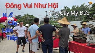 CHỢ CÂY MỸ ĐỨC ĐÔNG NHƯ HỘI * bắt tay MUA CÂY DẦM DẦM * quá tuyệt ... !