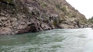 Coffee Pot Rapid on the Rogue River