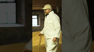 Wheat At Martry Mill | Tour at Martry Mill Flour | Martry Mill | Irish Flour | #shorts