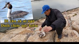 Đi câu cá lại dính con Le Le và 1 giỏ cua Cà Ra | Gia Đình Cá Tráp | câu cá ở Nhật Bản