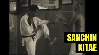 Uechi Ryu Sanchin Kitae - Seiyu Shinjo Sensei