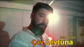 Ivan Aslan - Çav Zeytûna (Official)