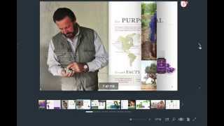 An Inroduction to Young Living Essential Oils