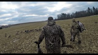 The end is near- NY goose hunt