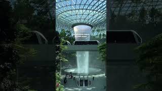 FINALLY #singapore #changiairport #visitsingapore #singaporetravel