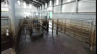 NEW DAIRY MASTER ROTARY, GATES AND PARLOUR EXIT