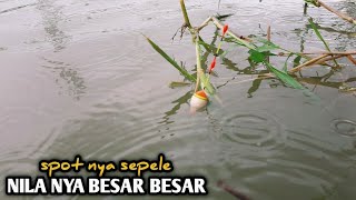 Nga Nyangka Banget Mancing nila di sungai kecil ini masih ada Babon nya