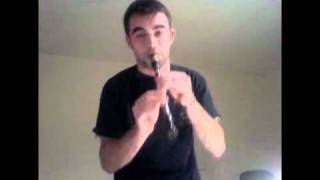 Homemade clarinet and clariwhistle