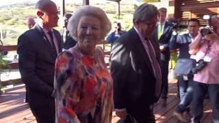 Steeldrum muziek voor Beatrix