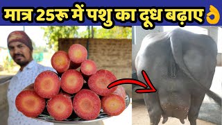 गाय/भैंस का दूध बढ़ाए मात्र ₹25 में👌|Doodh bdhane ka tarika|How to increase cow/buffalo milk.