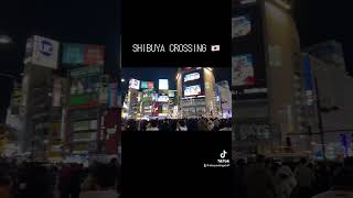 Shibuya Crossing in Japan 🇯🇵 #shibuya #shibuyacrossing #tokyo