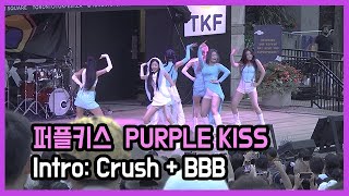 PURPLE KISS - Intro : Crush + BBB (퍼플키스 - 크러시 + 비비비) @ TKF 2024