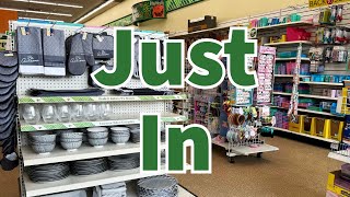 Dollar Tree 2024 | NEW Finds This Week😮😮😮