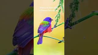 Birds with painting colors 😱 #shorts #birds #animals #shortvideo