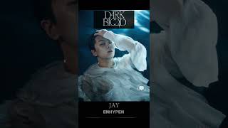 JAY - ENHYPEN (엔하이픈) 'DARK BLOOD' Concept Photos (HALF Ver.) #ENHYPEN #엔하이픈 #Jay #제이 #박종성