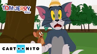 O show de Tom e Jerry | Desastre na festa de aniversário | Cartoonito