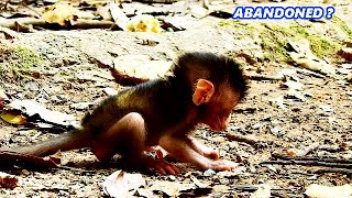 ABANDONED...?? A tiny baby looked deeply sad when not see her mom.