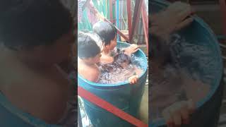 Swimming inside a container drum part 1