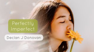 Declan J Donovan - Perfectly Imperfect (WhatsApp Status) - New English Song Lyrics Video