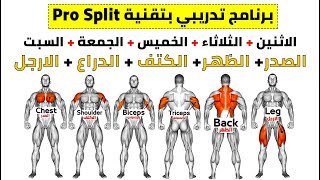 افضل جدول تمارين بتقنية Pro Split كمال الاجسام