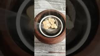 BURNING FRANKINCENSE HOJARI GREEN OMANI GRADE ROYAL MEDICINAL