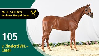 No. 105 Stallion by Zinelord VDL - Casall | Verden Stallion Licensing 2024- Jumping - Nov. 29/30