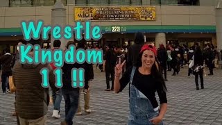 Wrestle kingdom 11 LIVE at Tokyo Dome ! Yes!