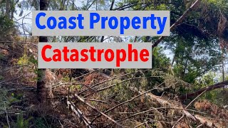 Reasons NOT to Own Forest Land - Catastrophe at the Coast Property