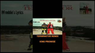 terminator remix lyrics#music #lyricvideo #kingpromise #afrobeats #youngjohn