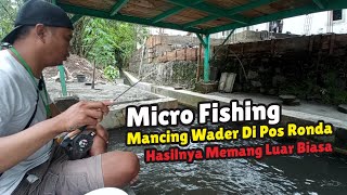 Micro Fishing -  Mancing Wader Di Pos Ronda Malah Strike Tanpa Henti #mancingwader #microfishing