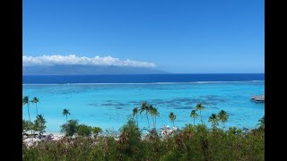 Lili la Mouette - En Polynésie sur les îles Raiatea, Tahaa, Moorea et Tahiti Saison 2018 5/5