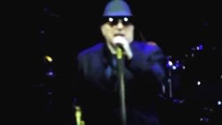 Van Morrison Live at Hollywood Bowl Wild Night/In The Afternoon/Don't You Make Me High/Raincheck