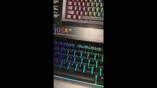 RAZER CYNOSA keyboard review/thoughts