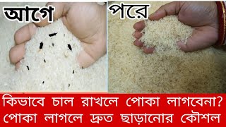 চালে একটাও পোকা লাগবেনা এভাবে রাখলে পোকা লাগলে দ্রুত ছাড়ানোর কৌশল ১০ টা টিপস রইলো