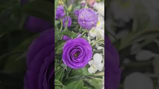 Flowers for undas #danganddidi #undas2024 #flowers #allsoulsday #trending #viralvideo #viralshort