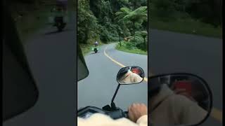 PENTOLAN VIRALL 🤣😂 MASNYA BEKAS JOKI ROADRACE #shorts #viral #balapmotor #balapliar