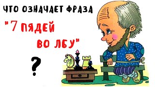 Что означает фраза "семь пядей во лбу"? | Что такое пядь?