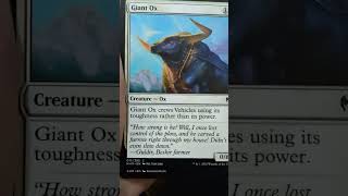 Its a cat mobile! Kaldheim Draft Booster Pack Opening