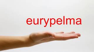 How to Pronounce eurypelma - American English