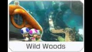 MK8 Tiny Wild Woods Shortcut (Shroomless)