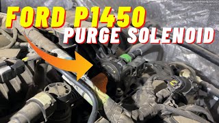 Ford Code P1450 - Unable to Bleed Fuel Tank Vaccum - Fusion, F150,  Focus, Explorer - Purge Valve