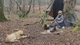 Camp & Cooking Burger on Stone by the River In Pure Nature of Hyrcanian Forest