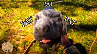 POV: You're Patting Cain for 15 Minutes in RDR2